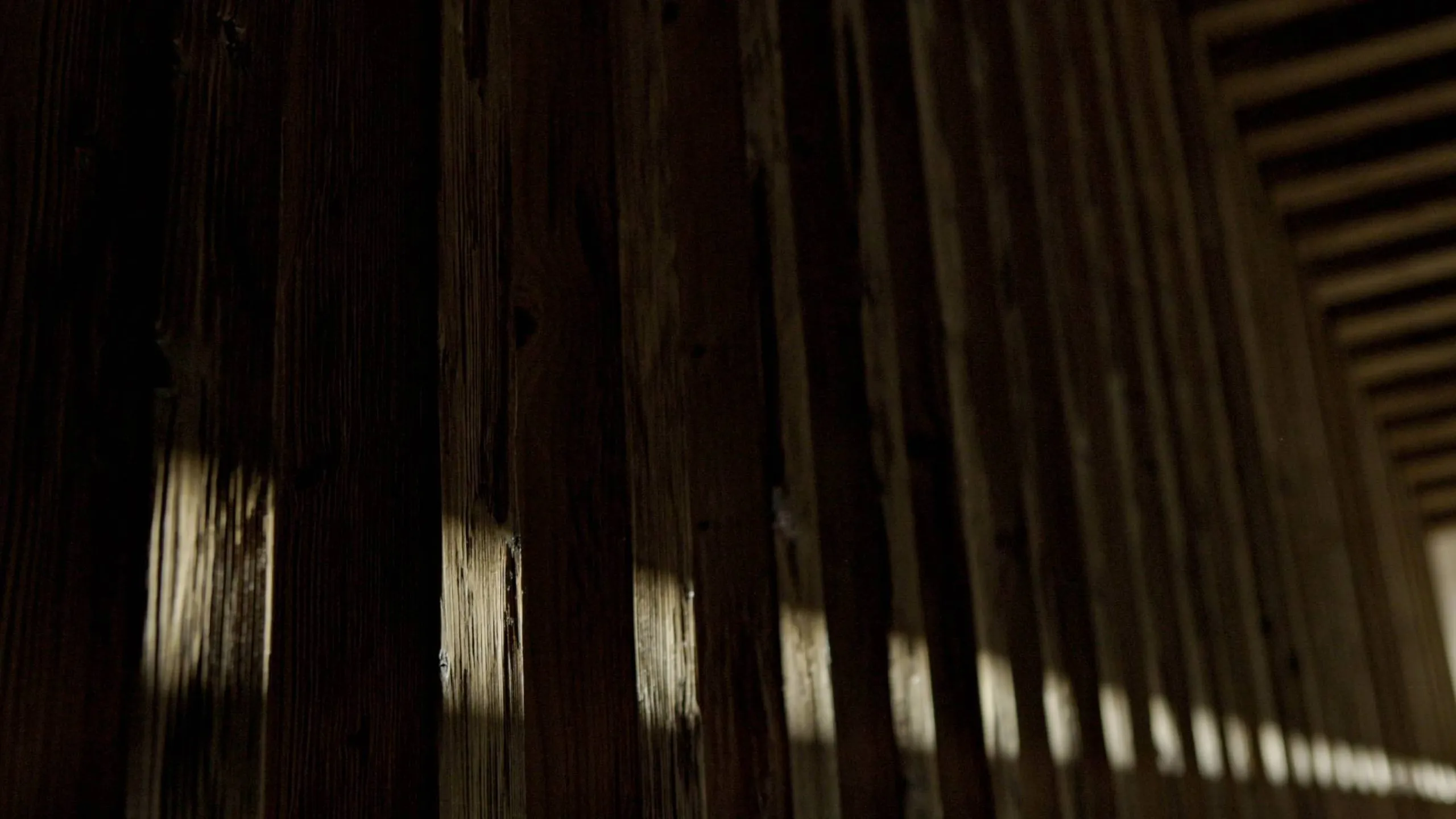 Pannelli di legno scuro disposti verticalmente lungo una parete, con riflessi di luce tra le assi; elemento di design acustico Silenzia per interni.